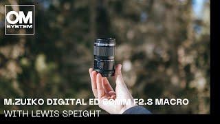 OM SYSTEM / Olympus M.Zuiko 60mm F2.8 Macro | Product Review