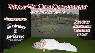 How Many Shots Does It Take a 22 Handicap to Ace the FAMOUS 17th Island Green at TPC Sawgrass?