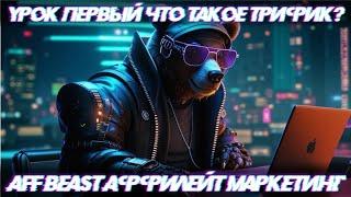 Обучению арбитржу трафика | Начинаем новую воронку AFF BEAST | Вводный ролик - Что будет в воронке