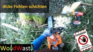 Starkholzräumung mit Husqvarna 560XP