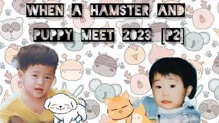 Woogyu: When a Hamster and Puppy Meet 2023 [P2]