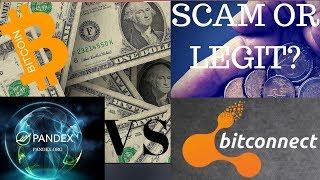 $5,000 PANDEX DEPOSIT VS $10,000 BITCONNECT DEPOSIT | SCAM OR LEGIT?