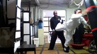 mike butler chi wu system wing chun self defense part 2