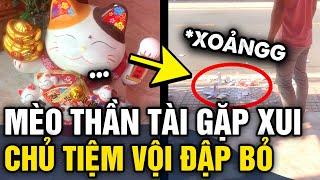 Chàng trai ĐẬP VỠ MÈO THẦN TÀI ngay trước cửa tiệm và câu chuyện BẤT NGỜ đằng sau | Tin 3 Phút