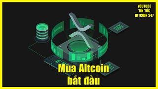 Thị trường bắt đầu bước vào Mùa Altcoin lớn, XRP bùng nổ với các tín hiệu tích cực