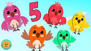 Five Little Birds, Numbers Song and Kids Learning Video