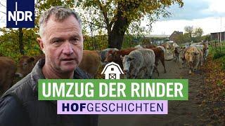 Kontrolle auf dem Treibweg: kein Rind soll sich verirren | Hofgeschichten: Leben auf dem Land (310)