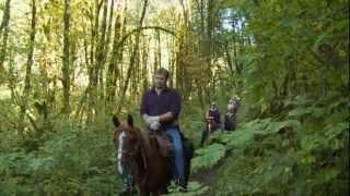 Into The Wild Equine Adventures: Grant's Getaways Santiam State Forest Segment