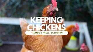 Keeping Chickens For Beginners UK | What I Wish I Knew Before Getting Chickens