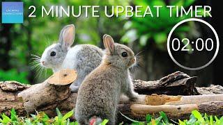 2 Minute Countdown Timer With Upbeat Music - ⏲ Rabbits  - Pack up time music, 2 minute rabbit timer