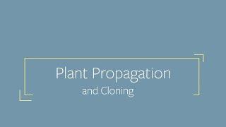 Plant Propagation and Cloning | Harley Smith's Master Growers Series