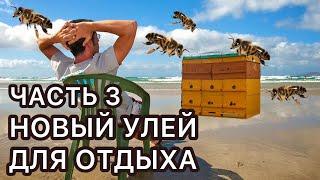 ЧАСТЬ 3   НОВЫЙ УЛЕЙ ДЛЯ  ОТДЫХА