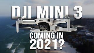 DJI Mini 3 - Coming In 2021 | What Can We Expect? - Fearless Drone Academy #10