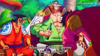 Gol D. Roger Wants Oden To Join His Crew And Roger Bowed To Whitebeard - One Piece 966 English Sub