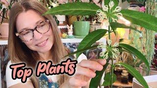 These Plants Are Doing The Most! | Hoya, Begonia, Alocasia + | August 2024 Favorite Houseplants