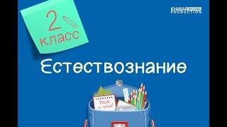 Естествознание. 2 класс. Как живут планеты /27.01.2021/