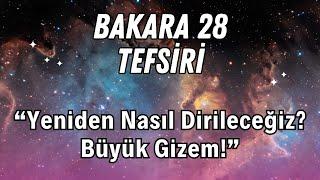 Bakara Suresi 28. Ayetin Tefsiri | Diriliş ve Ölümün Ardındaki İlahi Gerçek! #bakarasuresi