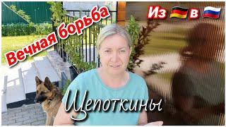 РАЗОЗЛИЛАСЬ... Съездила в питомник за растишками/ Будни Щепоткиных/ Из Германии в Россию