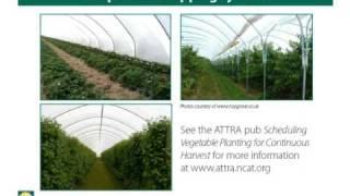 ATTRA Webinar - Hoop Houses For Extending Your Growing Season