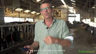 CowSignals® Promo video 2022