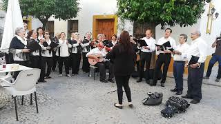 Sevillana Córdoba Guapa, Fiesta Patios de Córdoba