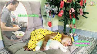 Mom... I'm hungry. Monkey Lyly fell asleep while waiting for her mother to cook for her.