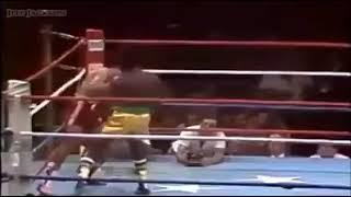 Azumah Nelson fights it out with Salvador Sanchez