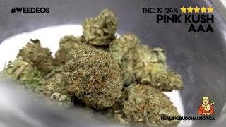 Weedeos - Pink Kush