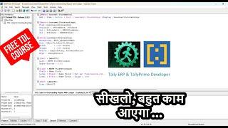 Tally TDL Tutorial 1 - Tally Prime Developer and Tally in Developer Mode @LearnWell