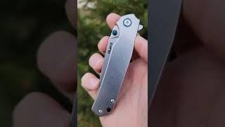 UNDER $30! POPULAR GIFT POCKET KNIFE AND COLLECTORS FOLDER | DISASSEMBLY | OVERVIEW | RUIKE P801-SF