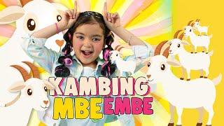 MAZAYA - KAMBING MBE EMBE (Official Music Video)