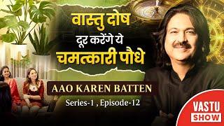 वास्तु दोष दूर करेंगे ये चमत्कारी पौधे  Aao Karen Baate Series - 1 Episode - 12