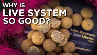 20 YEARS STRONG  LIVE SYSTEM BOILIES = SUCCESS