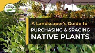 A Landscaper's Guide to Purchasing and Spacing Native Plants