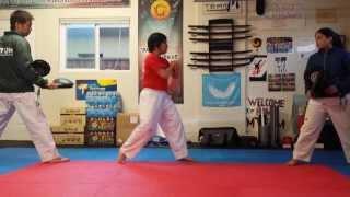 Team-M Taekwondo: Moving target kicking drills