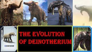 the evolution of deinotherium