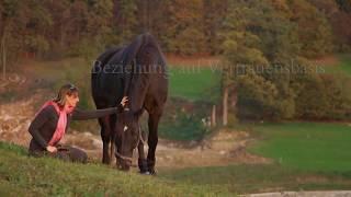 fitmedi Cavallo - Pferdegestütztes Coaching - Workshop mit Pferden