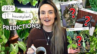 Houseplant TRENDS of 2025 🪴 The "IT" Plants This Year?