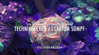 MW AQ Glasklares Wasser Wenig Arbeit - Sauberes Technikbecken - Vliesfilter UV-Stab - Keine Algen