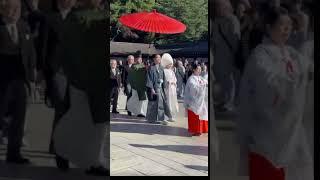 Japanese Wedding |Japan Insight|ytshorts