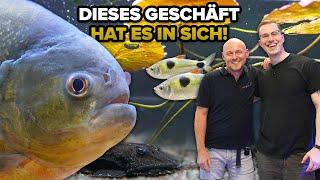 Die große SÜSSWASSER-AQUARIUM-TOUR bei Stephan in Freiburg!