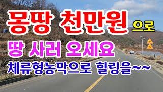 [매372]의성군안평면102평 몽땅천만원으로 내 땅 사서 쉼터하세요 의성땅매매 의성부동산