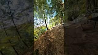 The ultimate fpv fly through? No drone no problem #gopro #fpv #creative #360 #360video #flow #fly