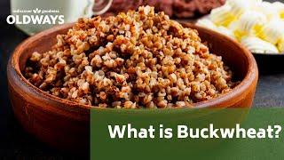 What is Buckwheat? An Intro to this Gluten Free Whole Grain