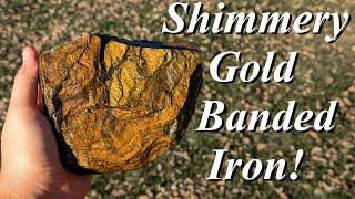 Birthday Bachelor Party Banded Iron! Hunting for Beautiful Gold Chatoyant Wyoming Banded Iron!