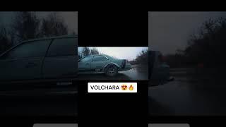 Volchara