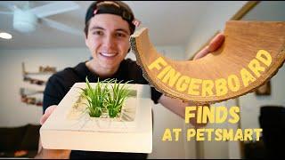 Fingerboard Finds at Petsmart!