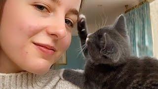 “Oh my heart! Cat and Owner are inseparable best friends”    Cute Cat and Human are best friend