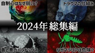 満足度が高かった動画5選ver.2024【ゆっくり解説】