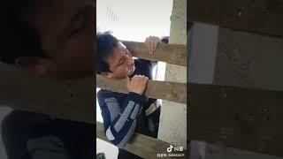 He is the most foolish Tibetan